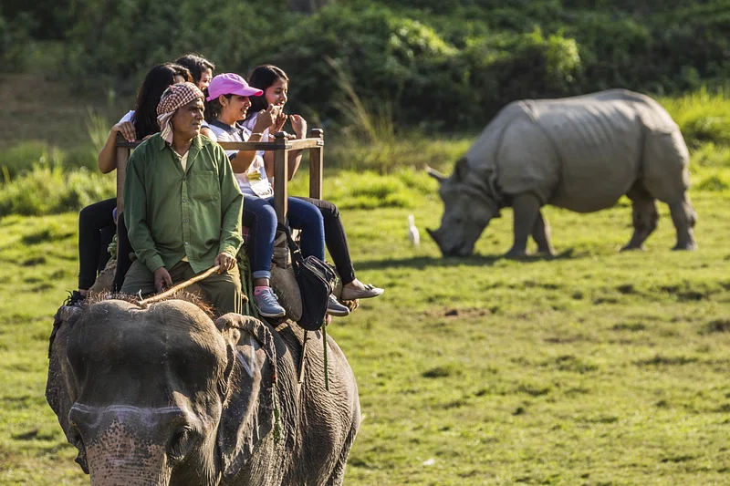 Kaziranga National Park